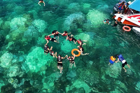Cham Islands: Scuba Diving Experience with 2 Divemaster Opts PADI Scuba + Snorkeling (1 Dive + 1 Snorkel)