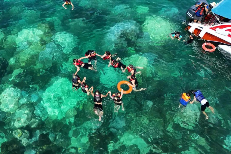 Cham Islands: Scuba Diving Experience with 2 Divemaster Opts PADI Scuba + Snorkeling (1 Dive + 1 Snorkel)
