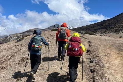 Everest Base Camp: 9-Day Trek and Helicopter Tour