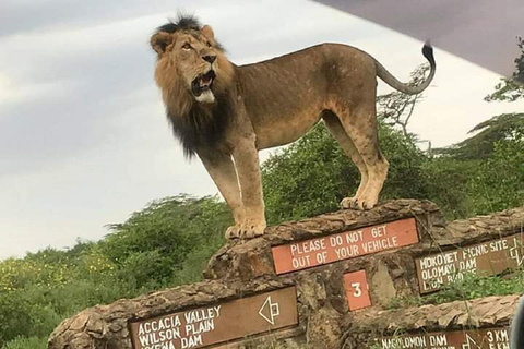 Nairobi nationalpark, elefantbarnhem och giraffcenter