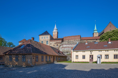 WWII History Highlights Oslo Private Guided Walking Tour 3-hour: WWII History & Home Front Museum Tour
