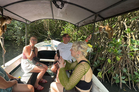 Bentota/Beruwala: Galle Fort, Koggala Lake & Kayaking Tour