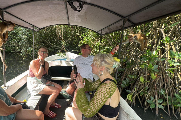 Bentota/Beruwala: Galle Fort, Koggala Lake & Kayaking Tour