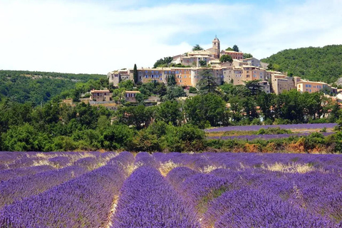 Provence: Valensole Lavender Fields Guided Full-Day Tour