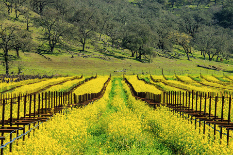 Napa Valley: Driver & Guide Service California wine country