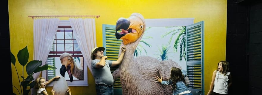 Chamarel : Billet d'entrée pour Curious Mauritius