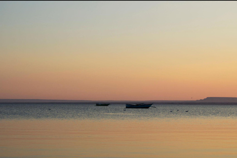 From Cairo: 4x4 Desert Safari, Waterfalls & Magic Lake Shared Tour: Wadi El Rayan, Magic Lake & Lake Qarun, Jeep