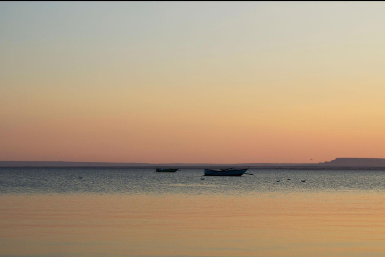 From Cairo: 4x4 Desert Safari, Waterfalls & Magic Lake Shared Tour: Wadi El Rayan, Magic Lake & Lake Qarun, Jeep