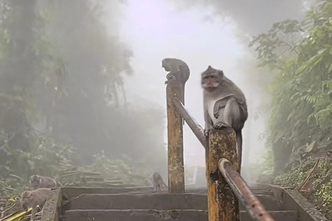 Bali: Lempuyang Temple Sacred Climb and Prayer Tour