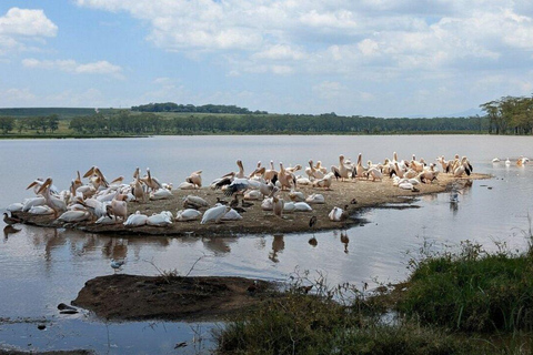 Nairobi: The Pink Shores & Rhino Kingdom Adventure