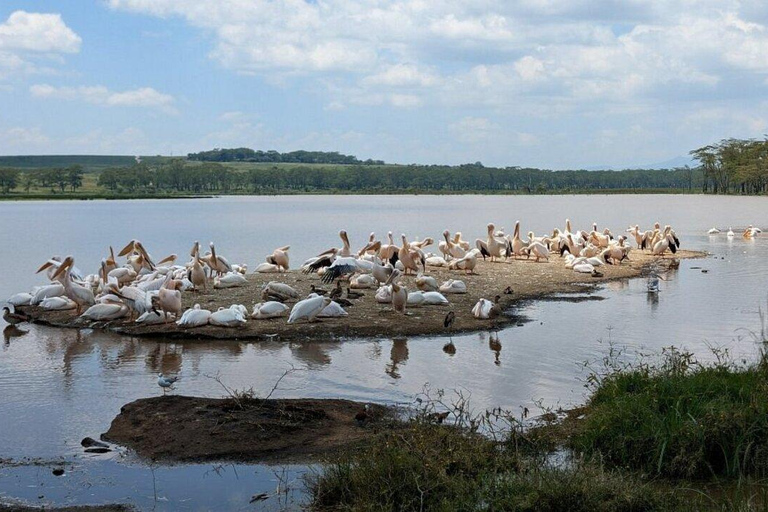 Nairobi: The Pink Shores & Rhino Kingdom Adventure