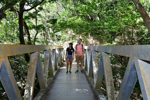 Rincón de la Vieja National Park: Las Pailas trail