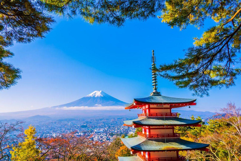 Mt Fuji Private Luxury Full-Day Tour with customization