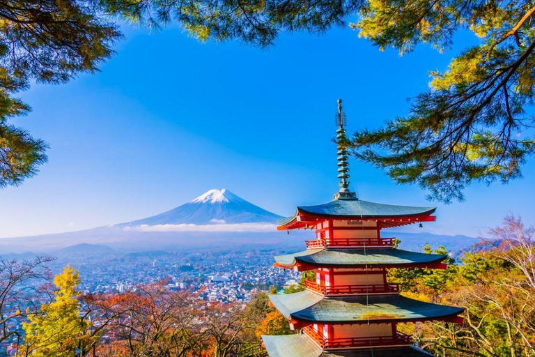 Mt Fuji Private Luxury Full-Day Tour with customization