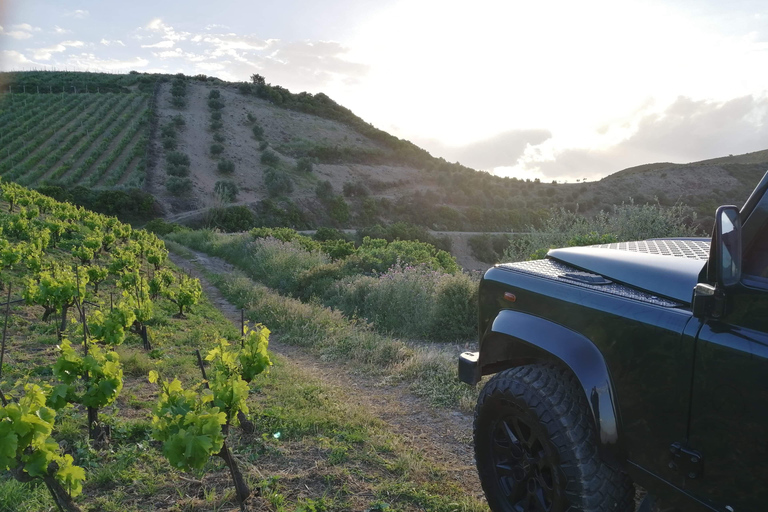 Chania Shore Excursion Off-Road Vineyard and Winery Tour HD