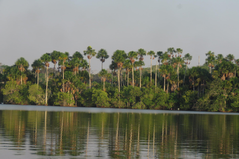 Puerto Maldonado: Tambopata Lago Sandoval 4-day expedition Puerto Maldonado: Tambopata Lago Sandoval 4-day expedition (best tour)