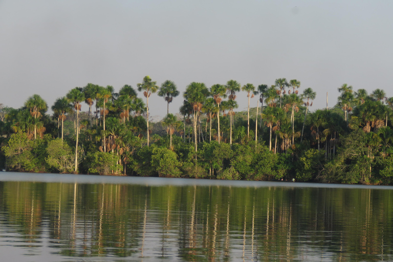 Puerto Maldonado: Tambopata Lago Sandoval 4-day expedition Puerto Maldonado: Tambopata Lago Sandoval 4-day expedition (best tour)