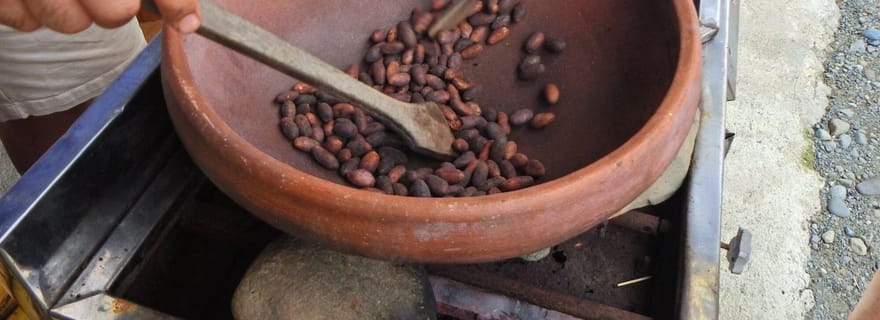 Guayaquil : L'expérience épique d'une ferme de cacao et d'une visite de la ville