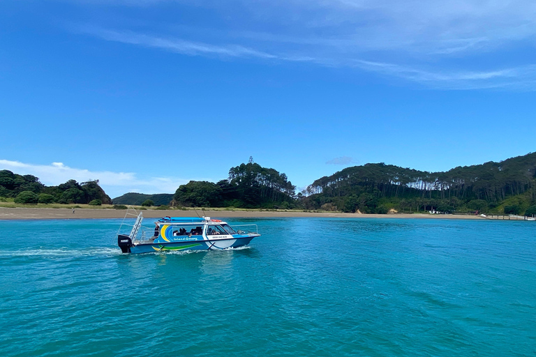 Visite de Hole in the Rock et croisière dans la baie des Îles2,5 heures - Tour du trou dans la roche