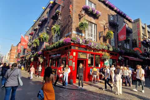 Dublin Private Walking Tour - Image 3