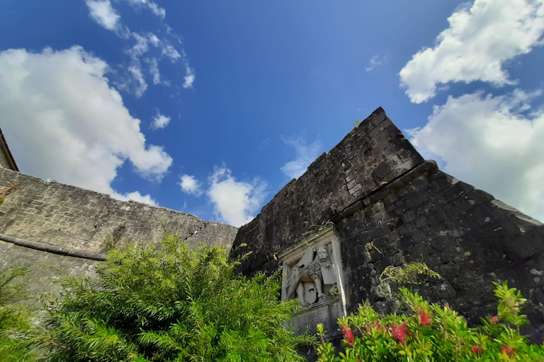 Kotor: Tour guidato a piedi della Città Vecchia