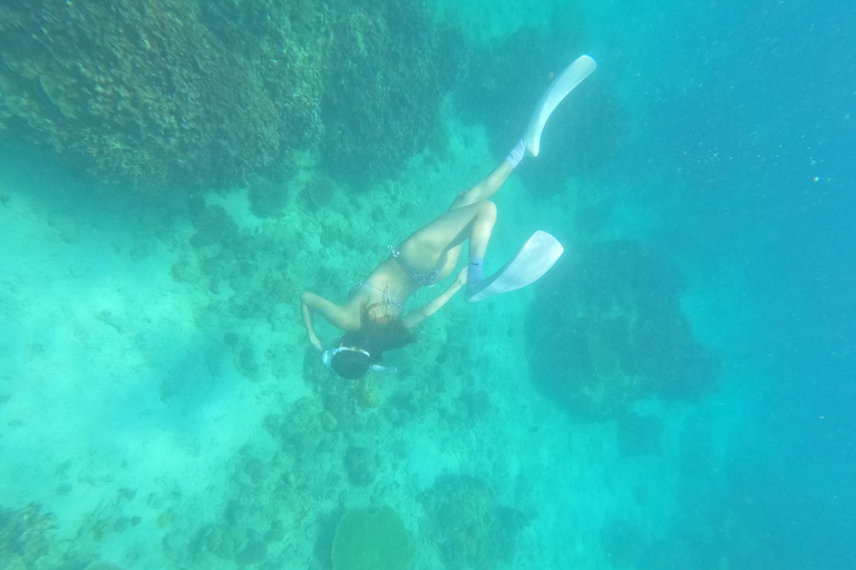 Coron : Observation des dugongs avec visite des tortues de mer et des jardins de corail