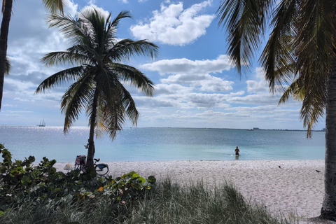 Miami Combo: Everglades Adventure and Sightseeing Tour Combo - Downtown Miami pickup
