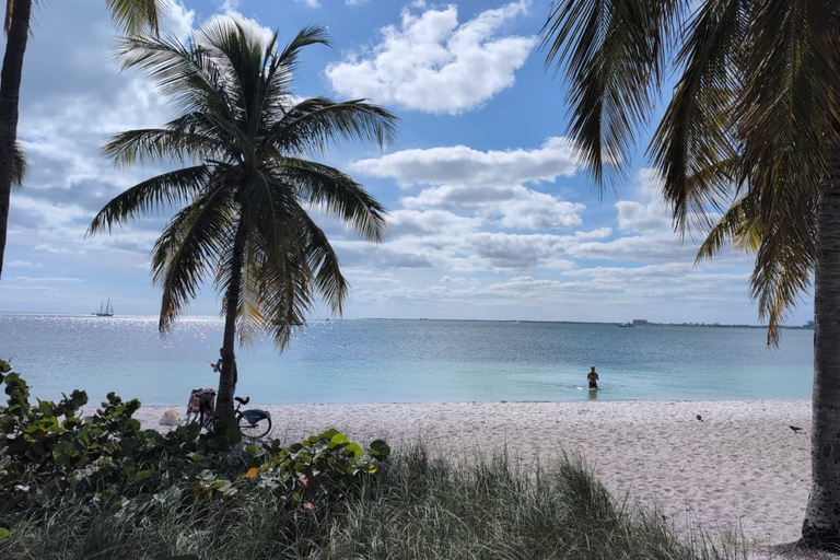 Miami Combo: Everglades Adventure and Sightseeing Tour Combo - Downtown Miami pickup