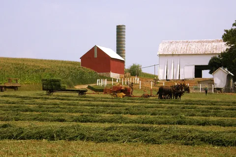 Lancaster: Amish Farmlands Guided Tour