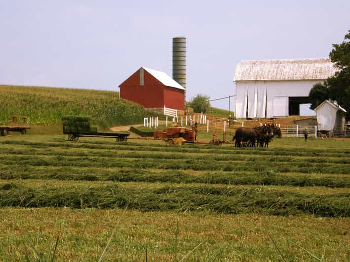 Lancaster: Amish Farmlands Guided Tour
