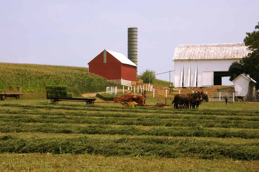 Lancaster: Amish Farmlands Guided Tour. Foto: GetYourGuide