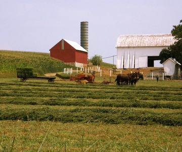 Lancaster: Amish Farmlands Guided Tour