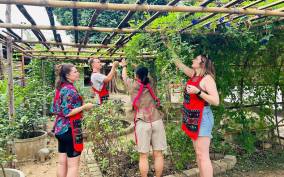 Chiang Mai: Cooking Class, Market and Thai Herbs Garden Tour