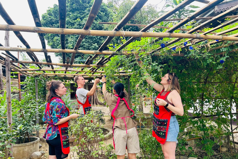 Chiang Mai : Cours de cuisine, visite du marché et du jardin d'herbes thaïlandaises