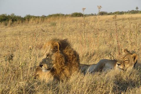 7 Días - Savuti - Khwai - Moremi (Safari móvil)