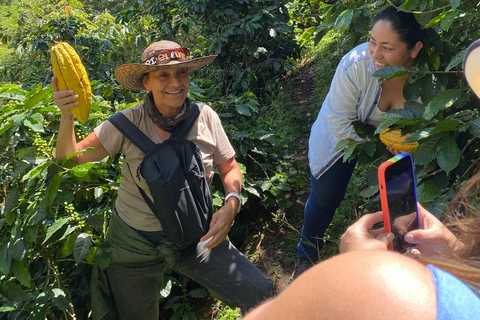 Medellin : Visite d&#039;une ferme de cacao et fabrication de chocolat, près de la villeVisite guidée