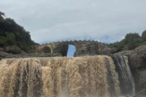 From Addis: Blue Nile Gorge, Baboons & Waterfalls