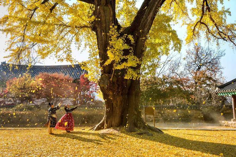 From Seoul: Jeonju Hanok Village & Jangtaesan Day Trip Hongik Univ. Station Exit 4