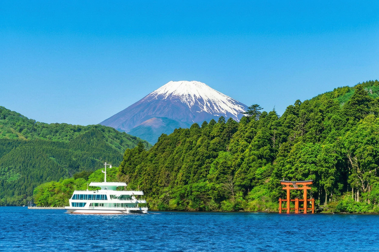 Mt. Fuji & Hakone Tour: Arakurayama, OshinoHakkai, Owakudani Tokyo Station | 7:30 AM Departure with English Guide