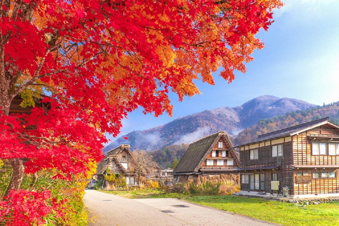 Visite d&#039;une jounée de Shiragawago, Hida Takayama et l&#039;UNESCO au départ de Nagoya