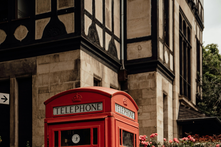 London: Premium 20+ Sights Tour with Expert Local Guide