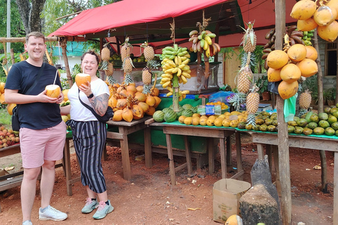 From Kandy: Hidden Temples, Elephants & Sigiriya Experience Tuk Tuk Option