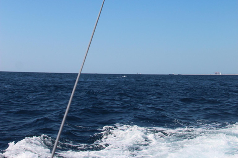 Barcelona: Parasailing magic flight and views above the sea