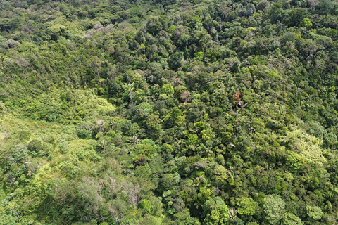 Panamá; San Blas Dos días en la selva todo incluido