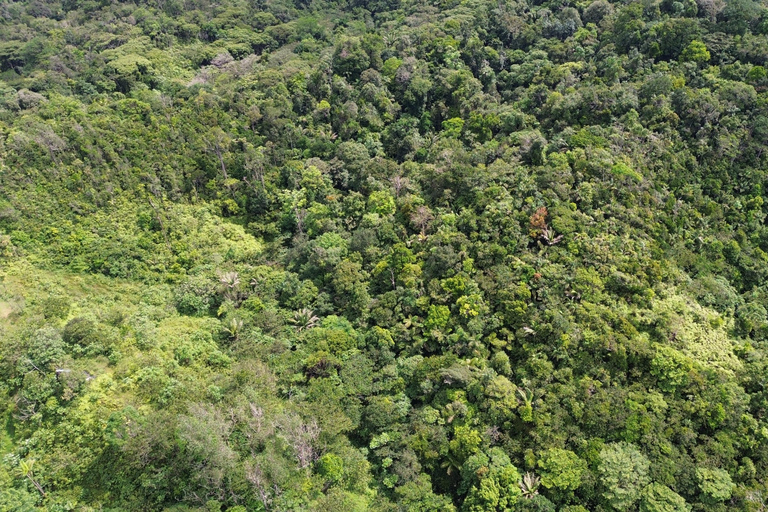 Panamá; San Blas Dos días en la selva todo incluido
