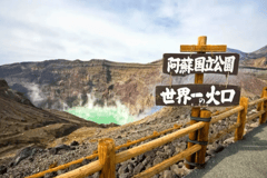 Ab Fukuoka: Tagestour zur Burg Kumamoto und zum Aso