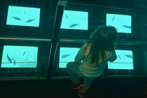 Circuit 2 H boot met onderwaterzicht/Geclassificeerde sitesCircuit 2 H boot met onderwaterzicht/Beschermde sites