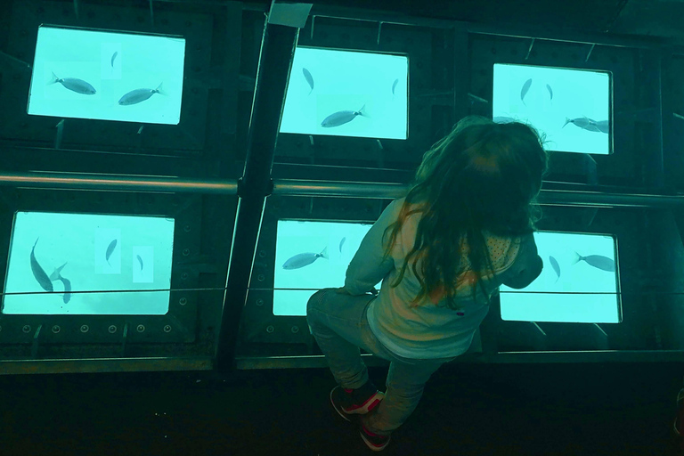 Circuit 2 H boot met onderwaterzicht/Geclassificeerde sitesCircuit 2 H boot met onderwaterzicht/Beschermde sites