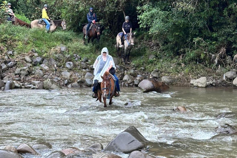 Horseback Ride + Contact Farm in Boquete 2 hours