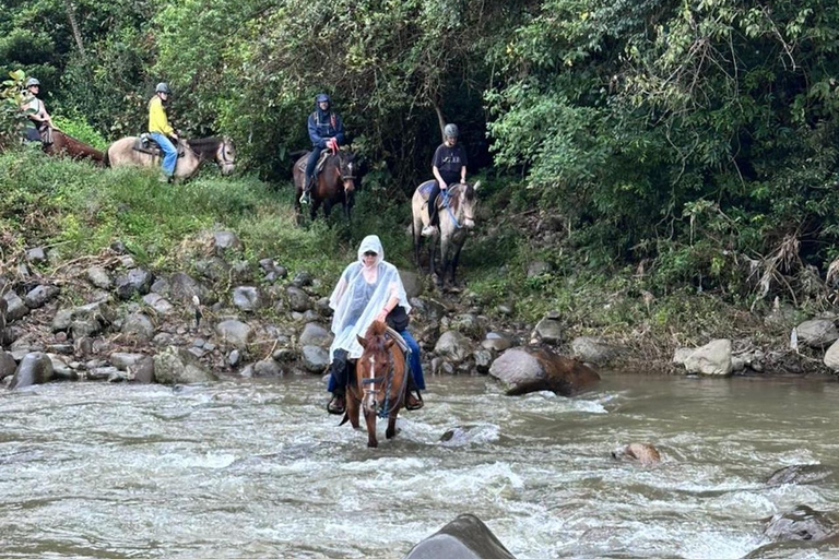 Horseback Ride + Contact Farm in Boquete 2 hours